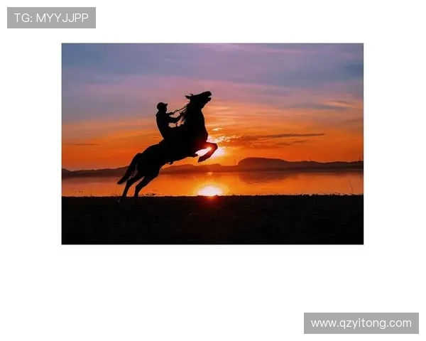 我们是世界杯 梦想与荣耀的见证者 共同谱写足球传奇 我们是世界杯 梦想与荣耀的见证者 共同谱写足球传奇